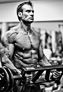 Принципы Поликвина